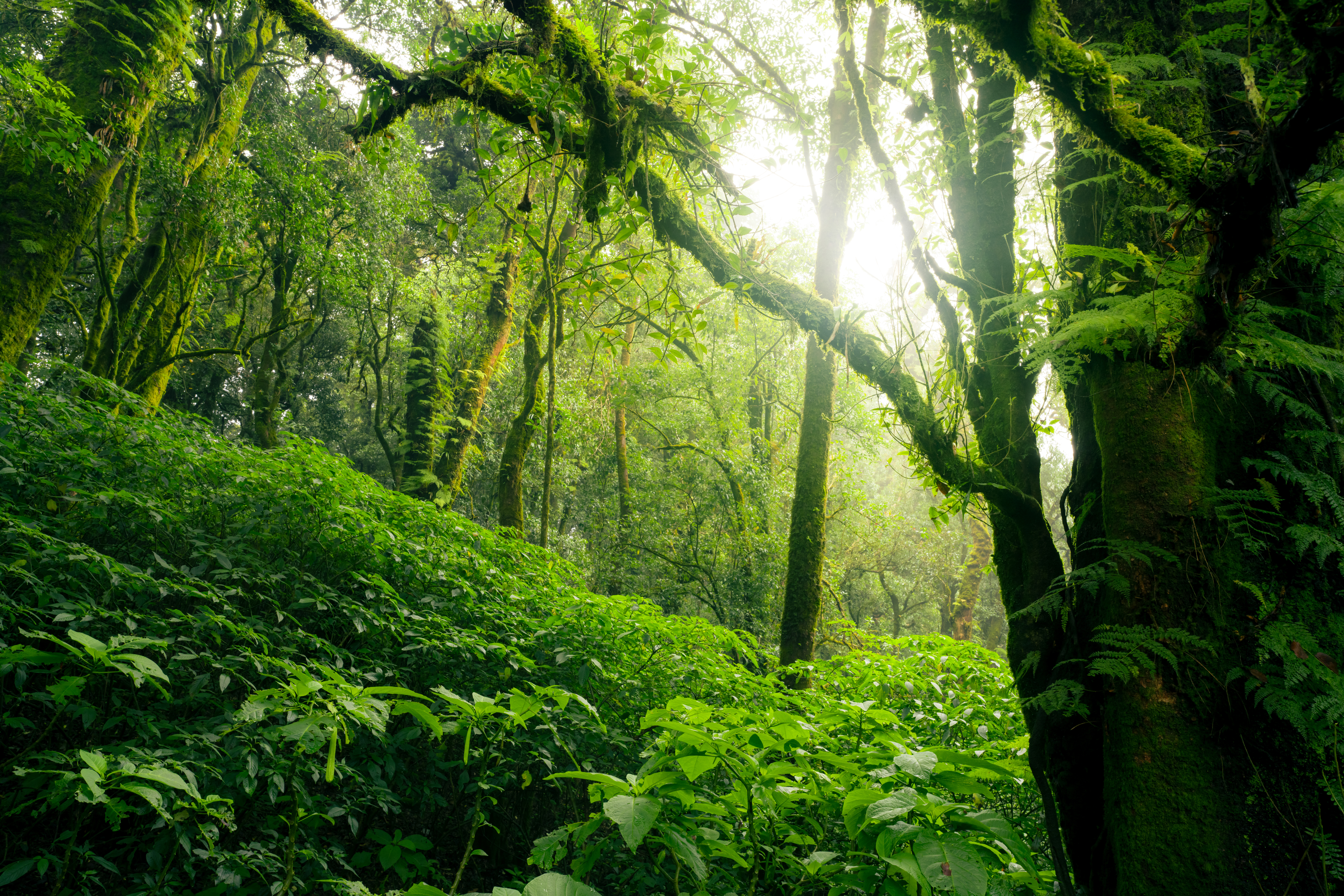 Image for article: Green Talent will host a Demonstration Hubs Webinar