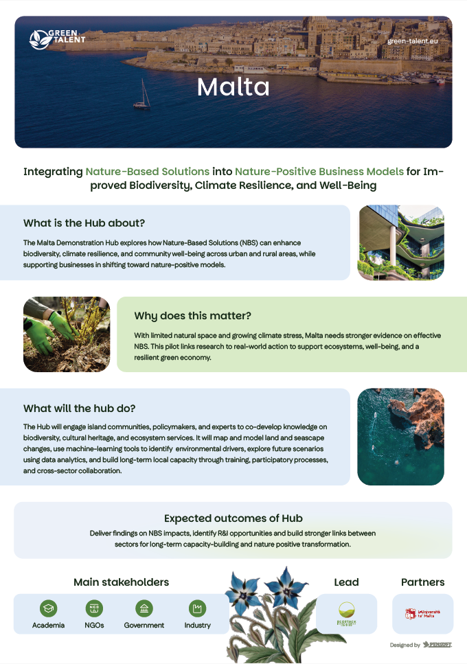 Malta DemoHub Infographic preview