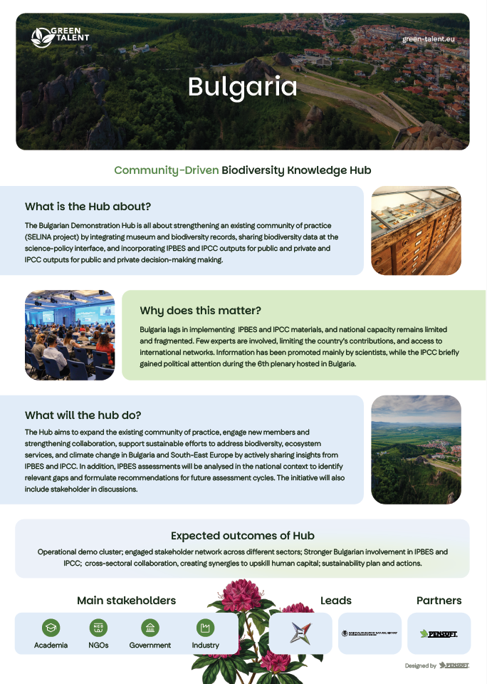 Bulgaria DemoHub Infographic preview